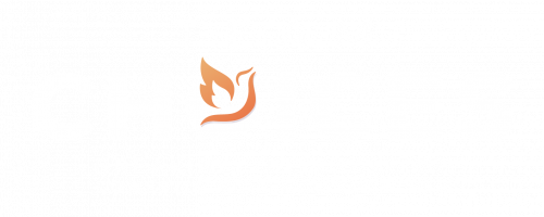CHO_Team CHOICES_Logo-FINAL_White
